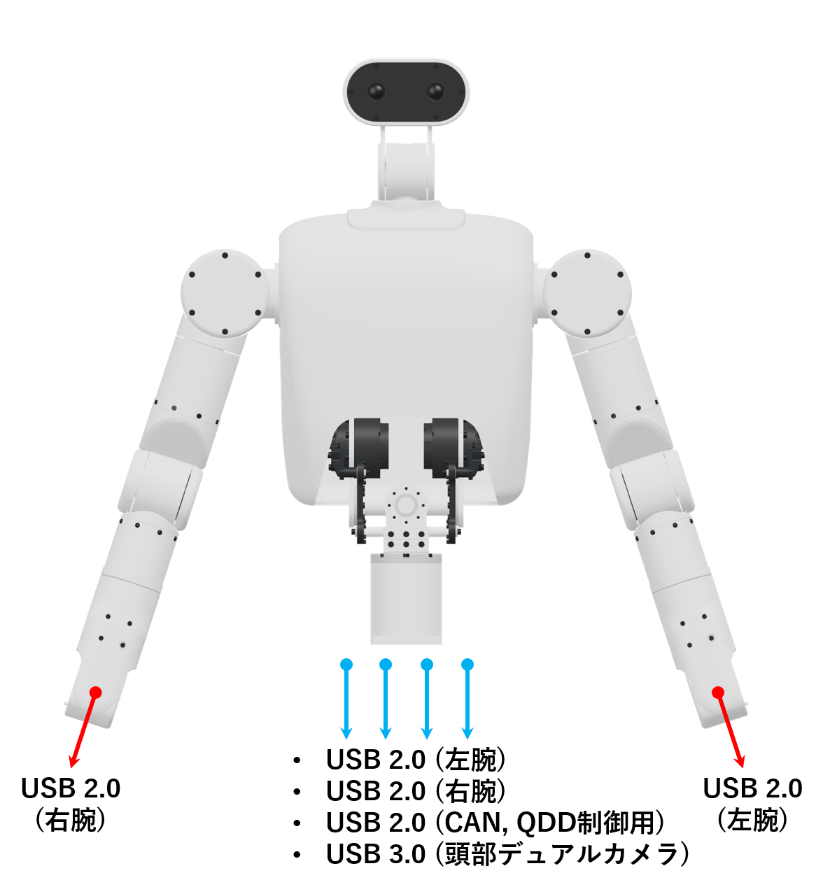 Jetsonなしの据え置き型セミヒューマノイドロボットのUSB 2.0配線構成図