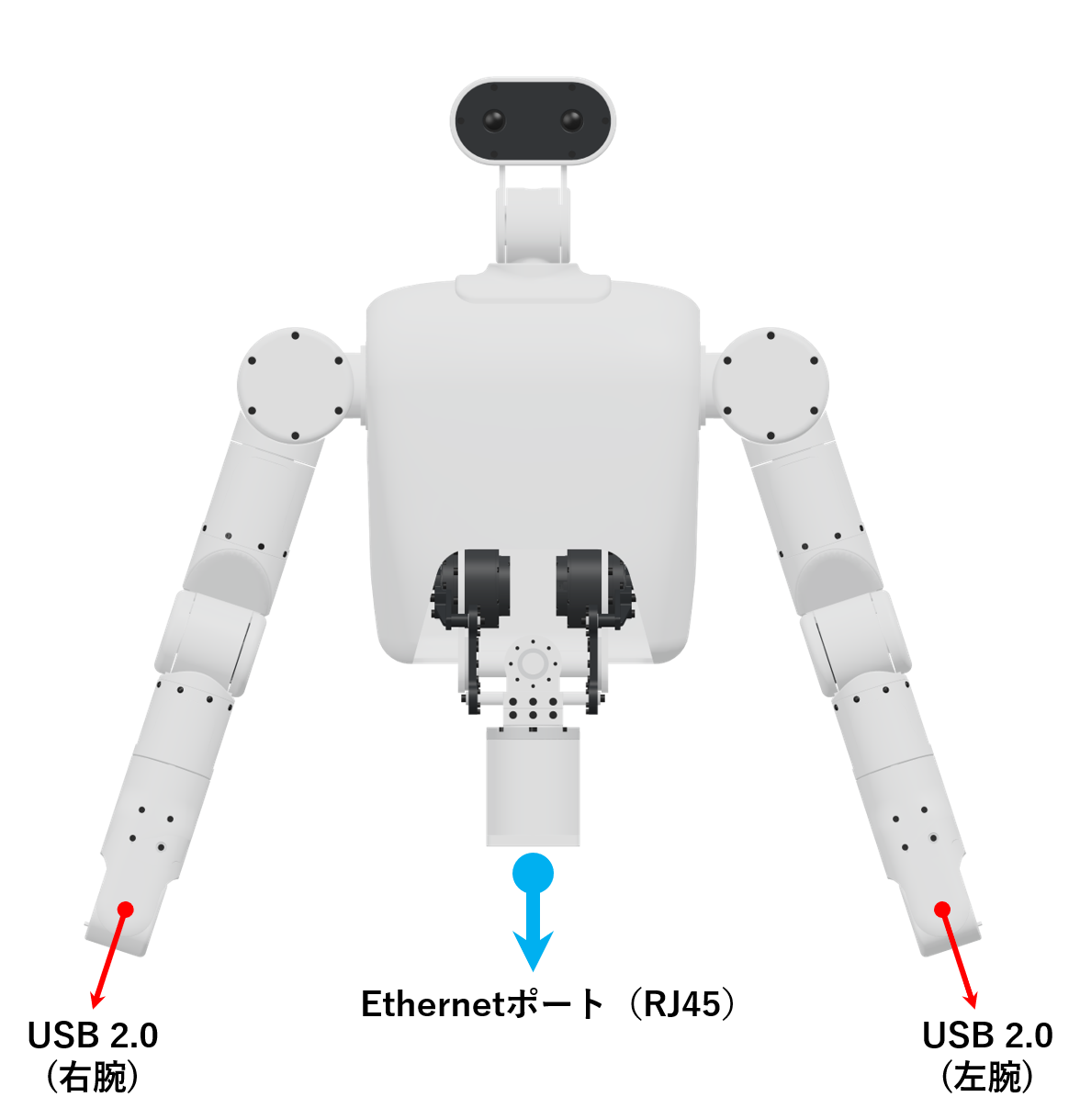 Jetsonありの据え置き型セミヒューマノイドロボットのJetson集約・有線LAN接続構成図